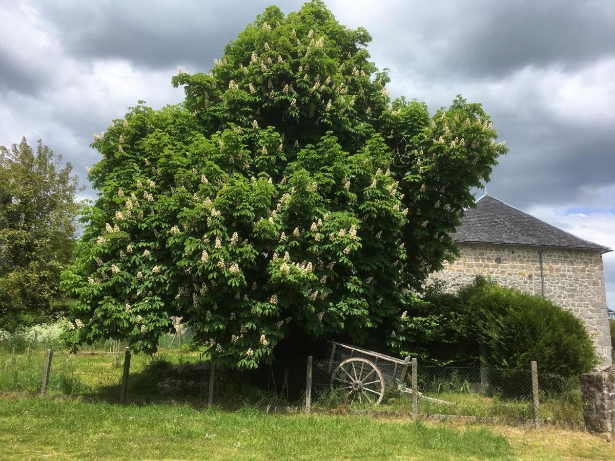 Les Pipistrelles 19 - Chambre D'Hotes Meymac ภายนอก รูปภาพ